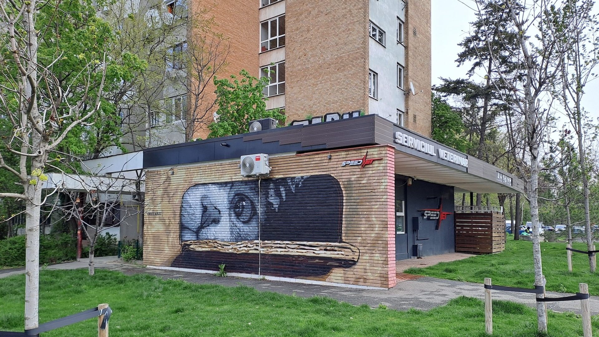 FAVORIT+ lansează concursul foto «Drumul Taberei: Identitate, Memorie, Viitor»